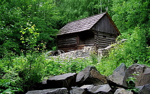 brown and gray wooden picnic table, nature, landscape, cabin, forest