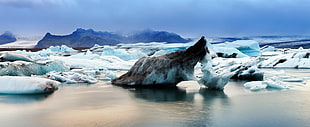 ice covered stone, nature, sea, iceberg, ice HD wallpaper