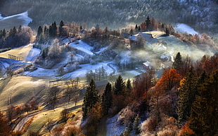 mountain with trees painting, nature, landscape, mountains, village