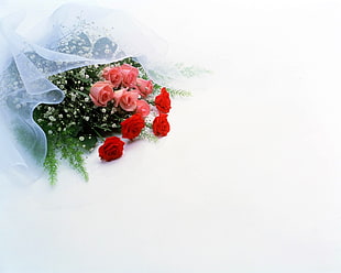 bouquet of pink and red roses HD wallpaper