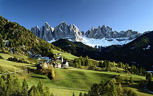 green mountains and trees, mountains, landscape, South Tyrol, nature