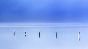 five black poles on body of water