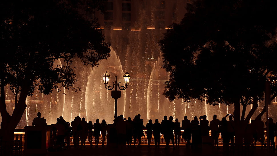 group of people silhouette wallpaper, Bellagio, Las Vegas, fountain, night HD wallpaper