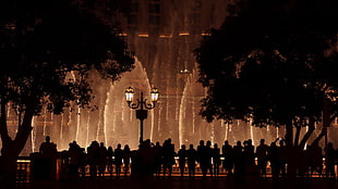 group of people silhouette wallpaper, Bellagio, Las Vegas, fountain, night HD wallpaper