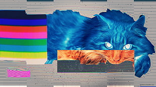 cat illustration screenshot, glitch art, cat, LSD, abstract