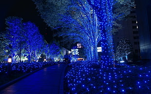 blue LED garden light, city, cityscape, blue, lights HD wallpaper