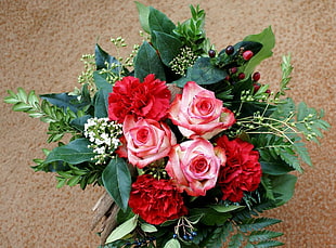red Rose and Carnation flowers