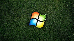 Microsoft Windows logo, Microsoft Windows