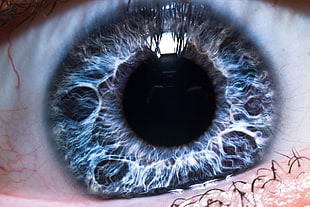 eye pupil, eyes HD wallpaper