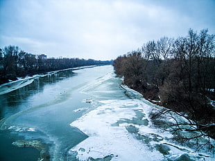 green leaf trees, river, landscape, frozen river, ice