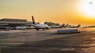 white and black airplane, airport, aircraft, sunset, Stuttgart HD wallpaper
