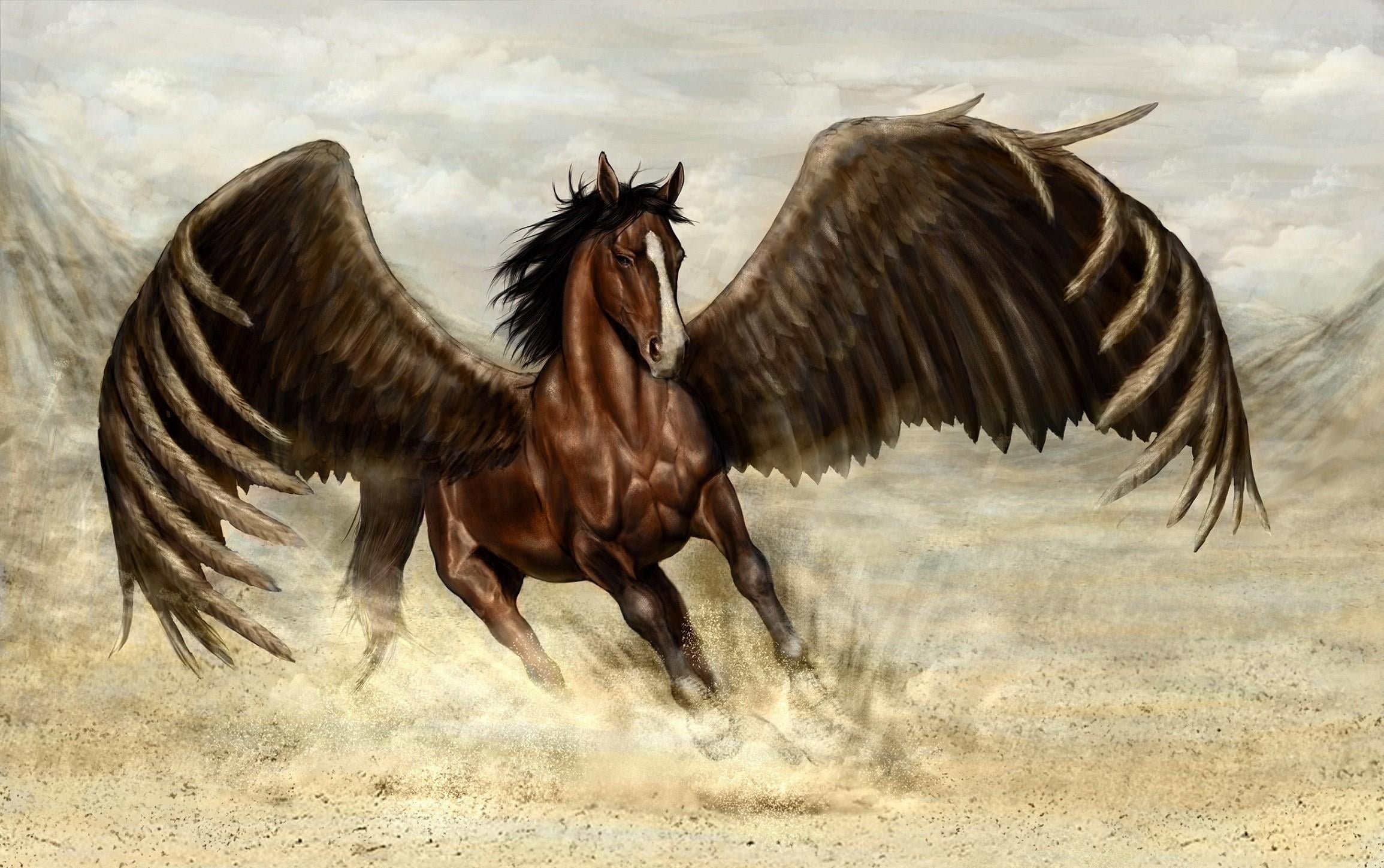 Brown wing horse HD wallpaper | Wallpaper Flare