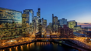 black skyscrapers, city, building, Chicago