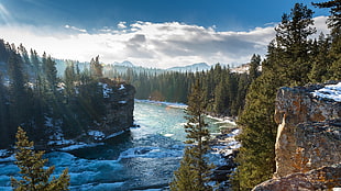 mountain surrounding trees, nature, river, trees, Canada HD wallpaper