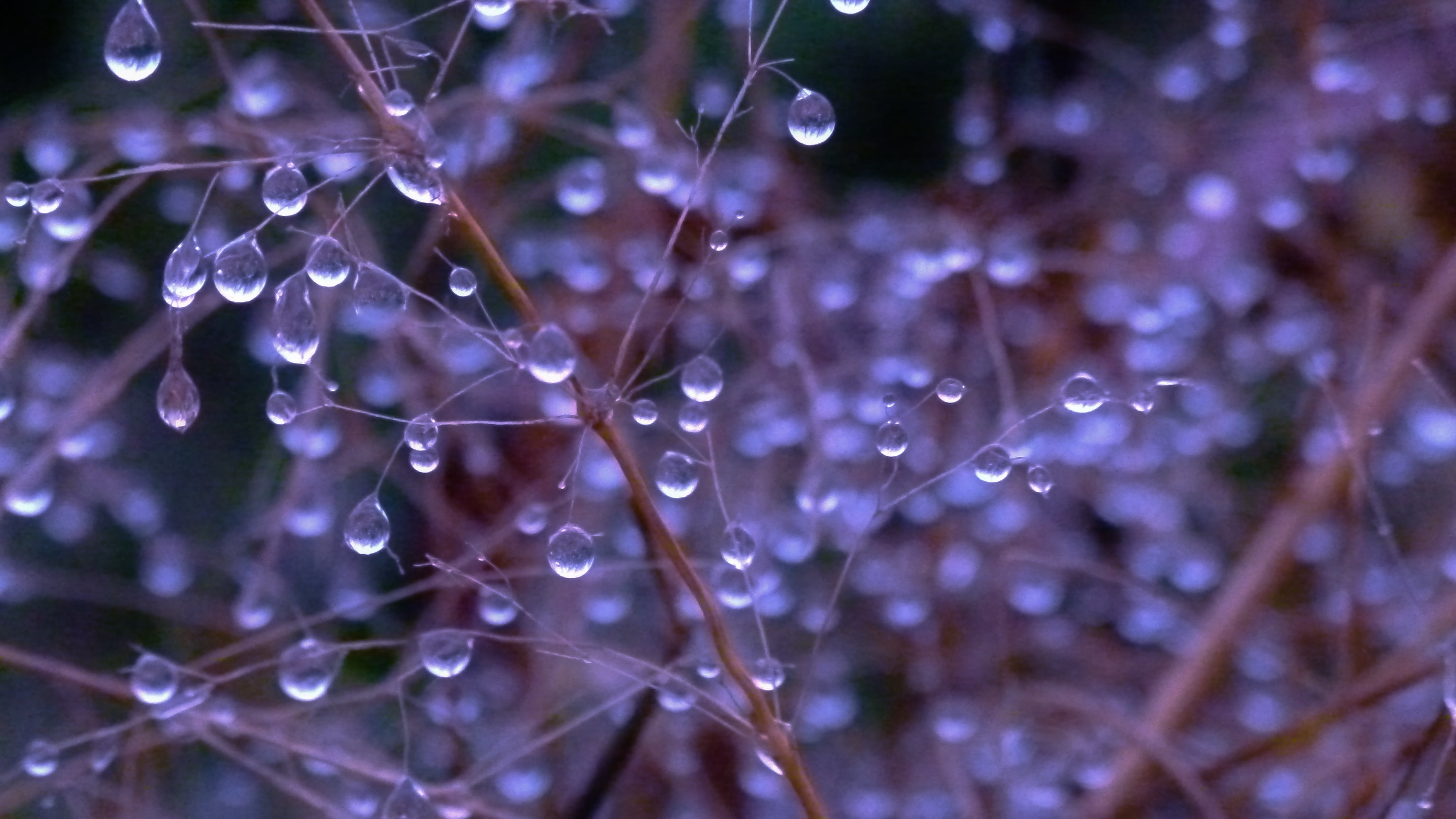 close-up photo of water drops