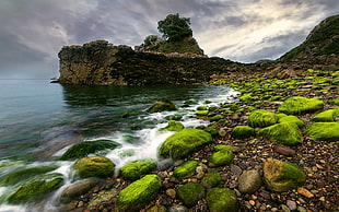 seacliff under nimbus clouds, nature, landscape, water, sea