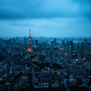 Aerial photography of Eiffel Tower, tokyo tower