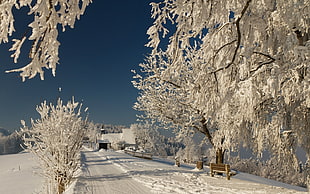 photo of snowfield during daytime