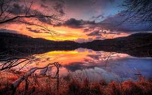 calm water near plants during sunset