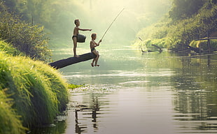 two boy standing and sitting on tree in front of lake during daytime HD wallpaper