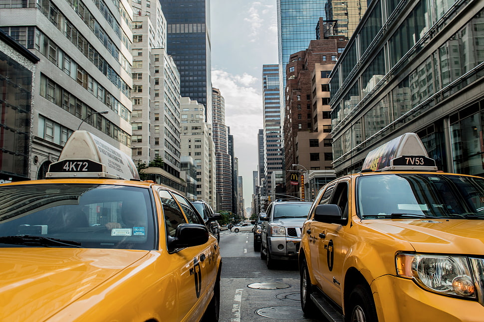 two yellow cabs on street HD wallpaper