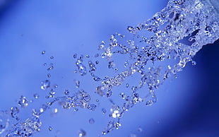 selective focus photography of sprinkled water HD wallpaper