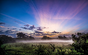 blue sky, nature, landscape, trees, mist