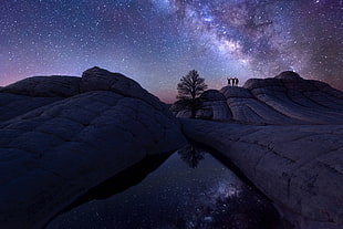 three person standing near tree under starry night