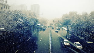 two white vehicles, road, snow, trees