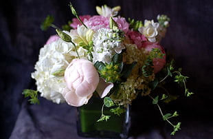 white and pink flower bouquet HD wallpaper