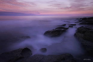 seashore covered in fog photo