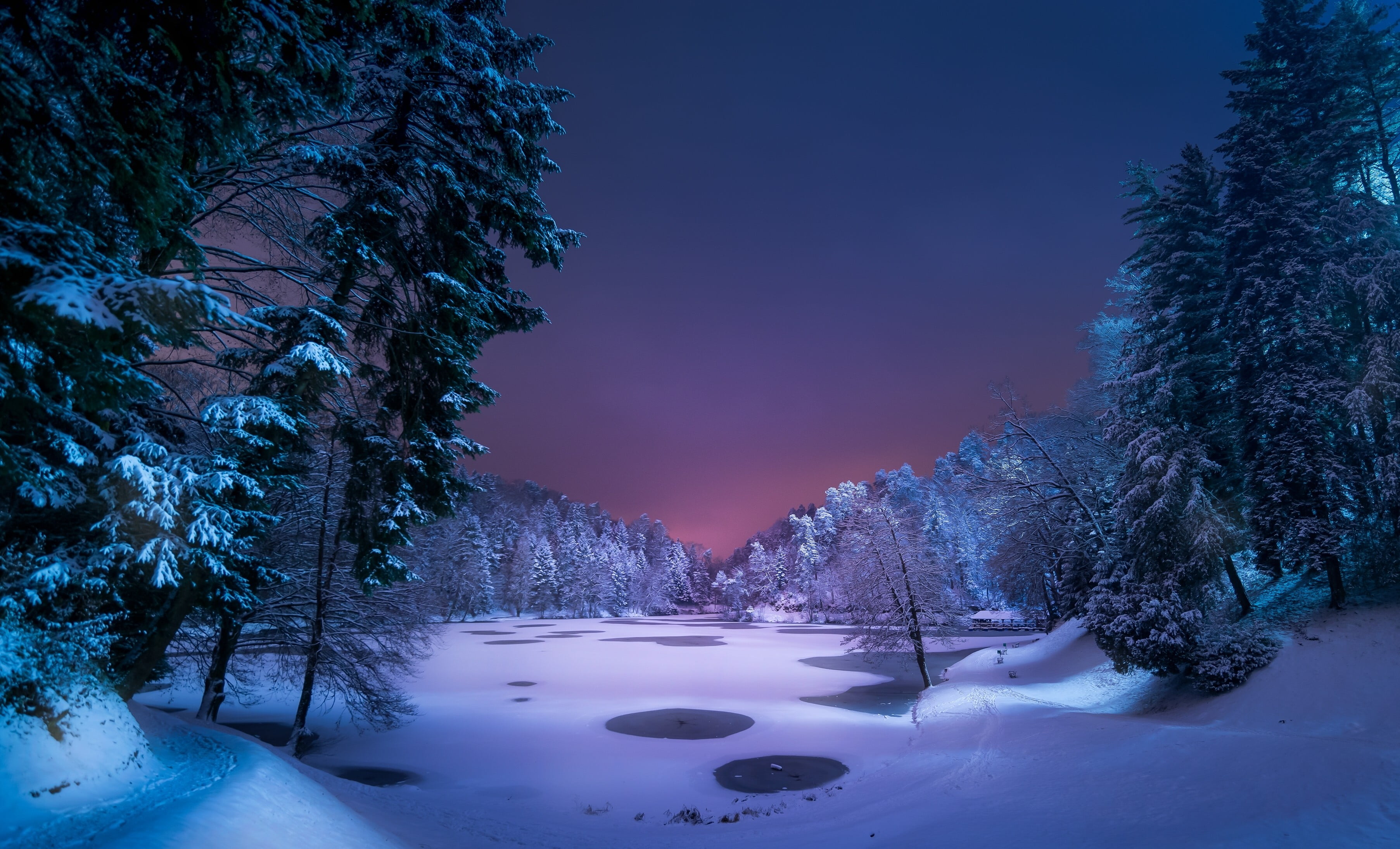 green pine tree, snow, landscape, forest, lake