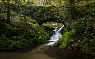 concrete bridge digital wallpaper, river, nature, forest