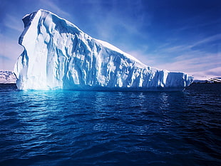 body of water, nature, sea, ice, iceberg HD wallpaper