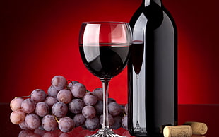 filled long-stem wine glass beside bottle and chardonnay HD wallpaper
