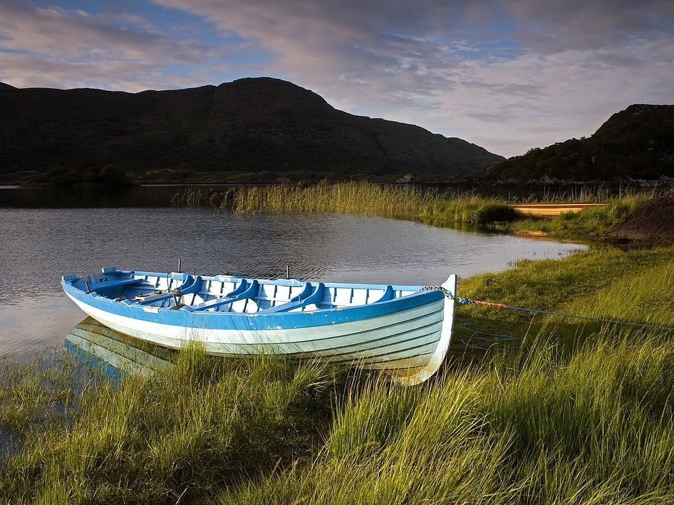bleu and white canoe on green grass field during daytime HD wallpaper