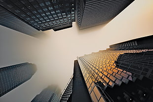 worm's-eye view photography of highrise buildings, urban, skyscraper, mist HD wallpaper