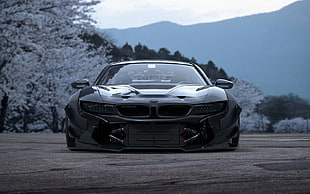 black BMW sports car parked on concrete pavement