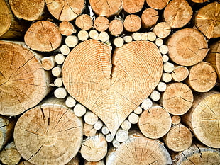 heart-shaped corkwood artwork HD wallpaper
