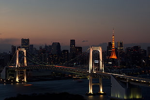 brown bridge, cityscape, bridge, Tokyo, Rainbow Bridge