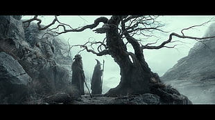 wizard standing beside tree, The Hobbit HD wallpaper