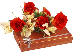 red and yellow flowers on top of red gift box HD wallpaper
