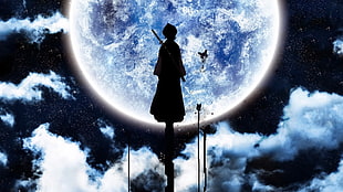 silhouette of anime character digital wallpaper, anime, Kuchiki Rukia, Bleach, Moon HD wallpaper
