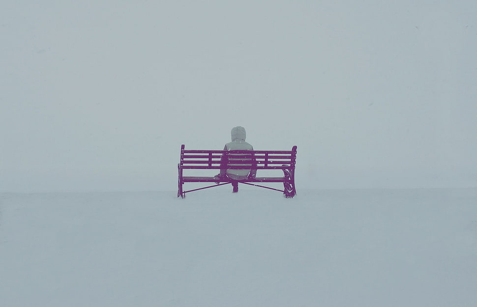 purple wooden bench, bench, people, landscape, winter HD wallpaper
