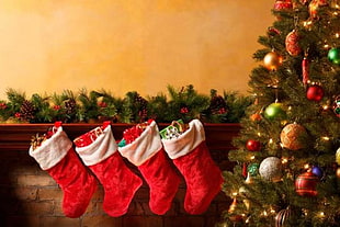 four christmas stockings hanging on shelf HD wallpaper