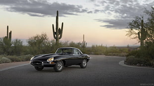 black coupe, car, Jaguar E-Type, Jaguar, road