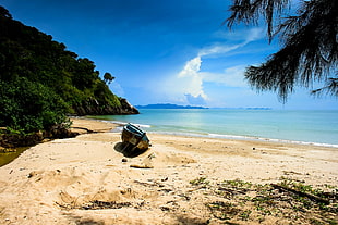 blue canoe boat near seashore, nature, landscape, beach, sand