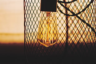 photo of brown light bulb HD wallpaper