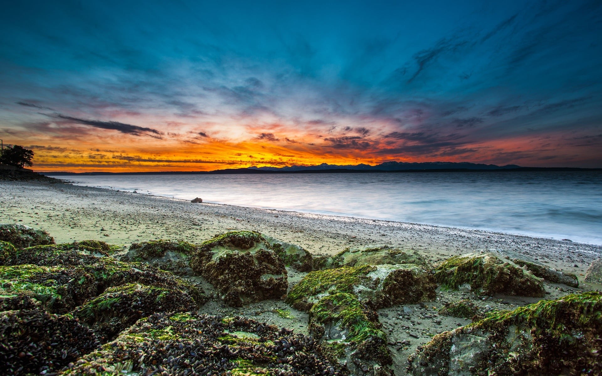 landscape photo of stone and body of water, nature, landscape, sunset, coast