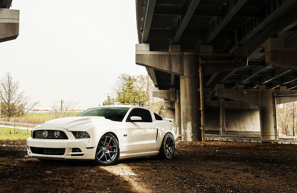 white Ford Mustang GT coupe, car HD wallpaper